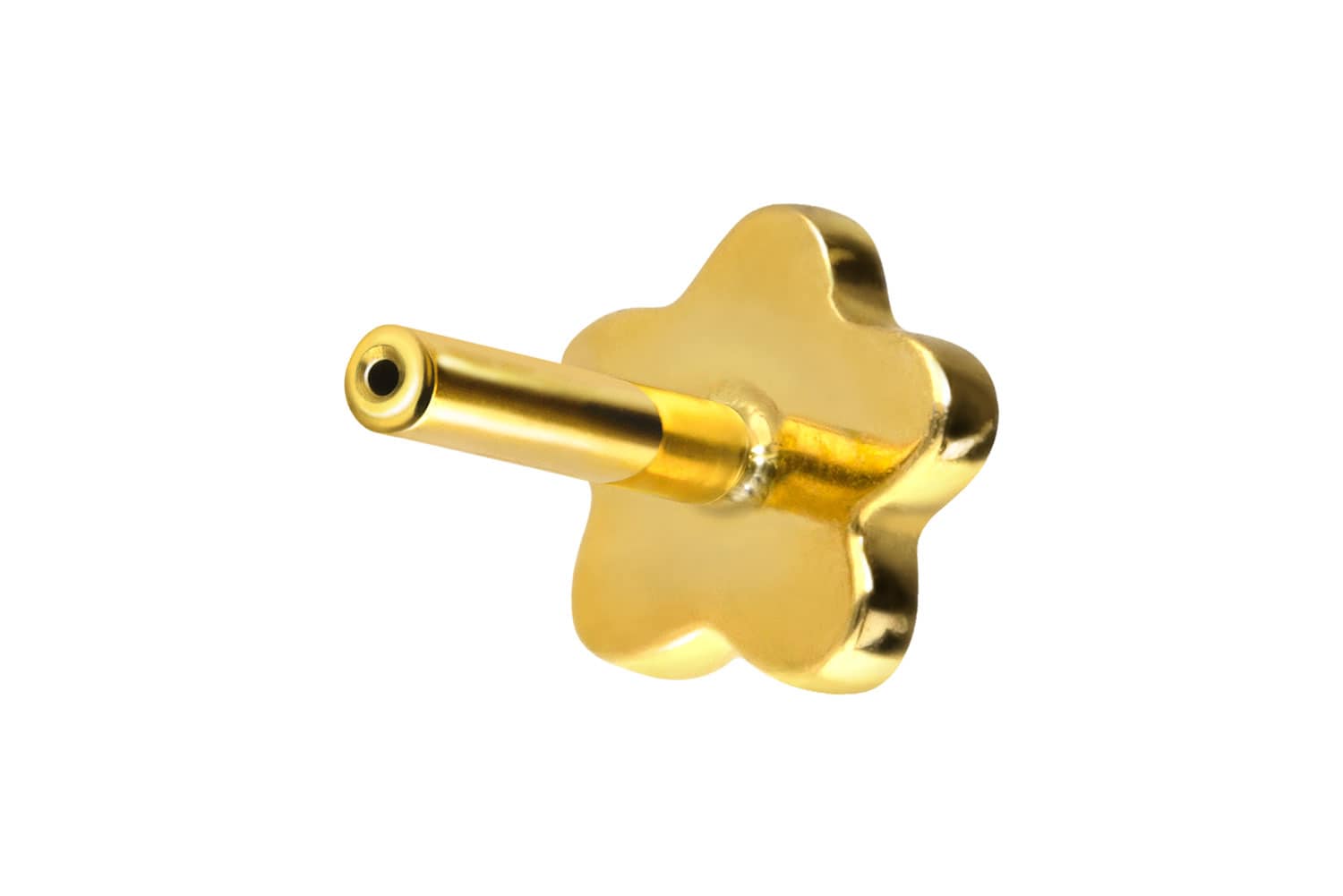 Titan Labret Piercing mit Push Fit ohne Kugel BLUME